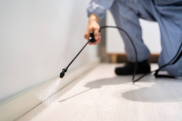 Licensed Rodent Control service in Kidder County County, ND - Nex Pest Control